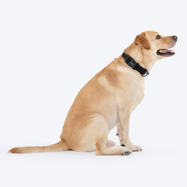 HUFT Classic D Ring Collar for Dogs (Coal Black)