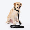 HUFT Classic Leash for Dogs (Coal Black) Dogs-Collar, Leashes, harnesses Heads Up for Tails