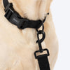 HUFT Classic Leash for Dogs (Coal Black) Dogs-Collar, Leashes, harnesses Heads Up for Tails