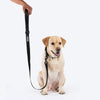 HUFT Classic Leash for Dogs (Coal Black) Dogs-Collar, Leashes, harnesses Heads Up for Tails