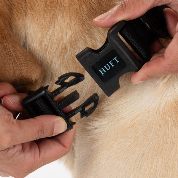 HUFT Classic D Ring Collar for Dogs (Coal Black)