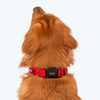 HUFT Basics Adjustable Nylon D Ring Collar for Dogs (Crimson Red) Dogs-Collar, Leashes, harnesses Heads Up for Tails