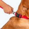 HUFT Basics Adjustable Nylon D Ring Collar for Dogs (Crimson Red) Dogs-Collar, Leashes, harnesses Heads Up for Tails