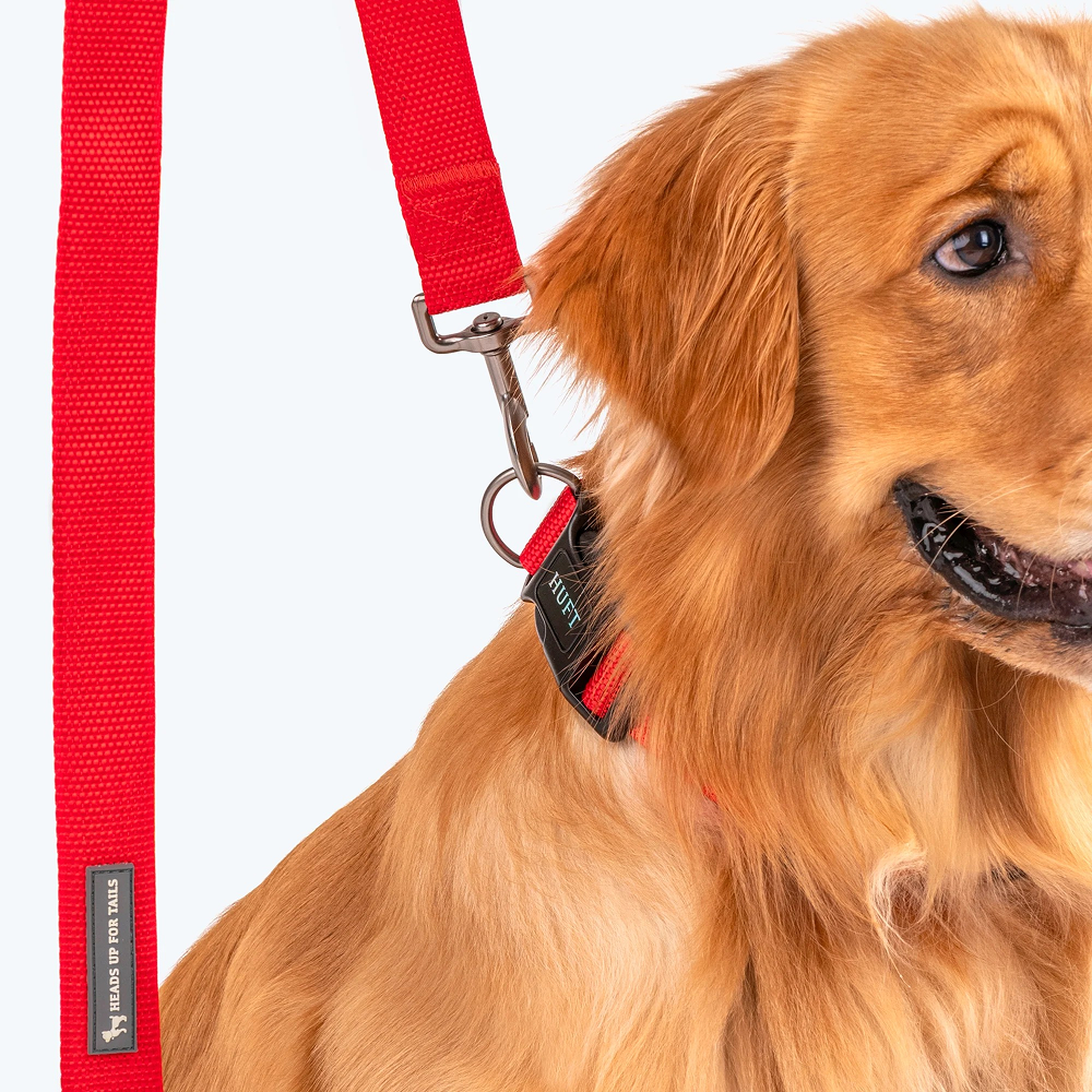 HUFT Basics Nylon Leash for Dogs (Crimson Red) Dogs-Collar, Leashes, harnesses Heads Up for Tails