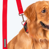 HUFT Basics Nylon Leash for Dogs (Crimson Red) Dogs-Collar, Leashes, harnesses Heads Up for Tails