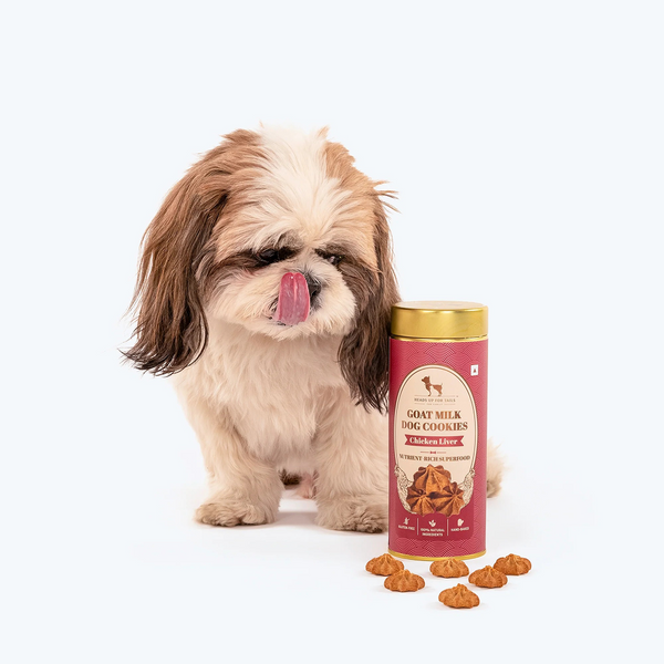 HUFT Gluten Free Goat Milk & Chicken Liver Cookie Dog Treats