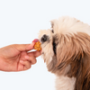 HUFT Gluten Free Goat Milk & Grilled Chicken Cookie Dog Treats Dog Treats + Others Heads Up for Tails