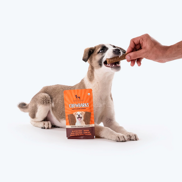 HUFT Chewbarks Gluten Free Smoked Chicken Soft Chew Strips Dog Treats