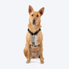 HUFT Classic H Harness for Dogs (Coral Black) Dogs-Collar, Leashes, harnesses Heads Up for Tails S