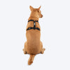 HUFT Classic H Harness for Dogs (Coral Black) Dogs-Collar, Leashes, harnesses Heads Up for Tails