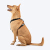 HUFT Classic H Harness for Dogs (Coral Black) Dogs-Collar, Leashes, harnesses Heads Up for Tails