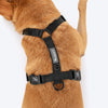 HUFT Classic H Harness for Dogs (Coral Black) Dogs-Collar, Leashes, harnesses Heads Up for Tails