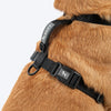 HUFT Classic H Harness for Dogs (Coral Black) Dogs-Collar, Leashes, harnesses Heads Up for Tails
