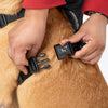 HUFT Classic H Harness for Dogs (Coral Black) Dogs-Collar, Leashes, harnesses Heads Up for Tails