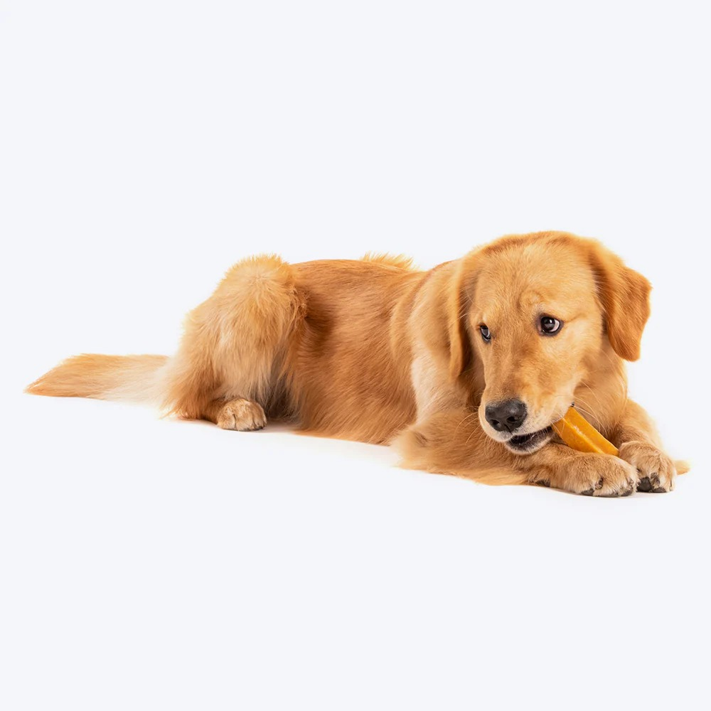 HUFT Yakies 100% Natural and Vegetarian Gluten Free Chew Bone for Dogs Dog Treats + Others Heads Up for Tails