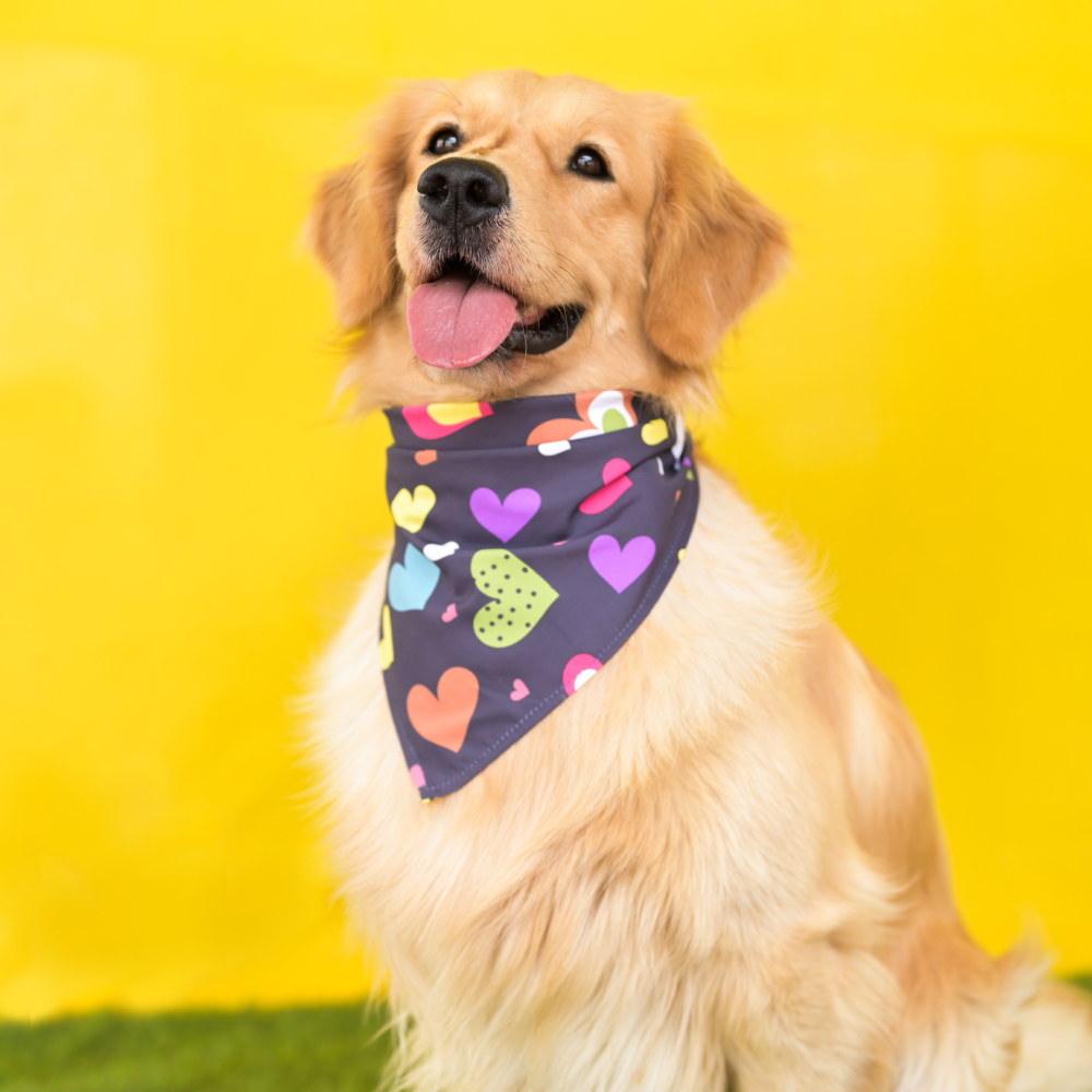 SKATRS Heart Printed Bandana for Dogs and Cats (Black)