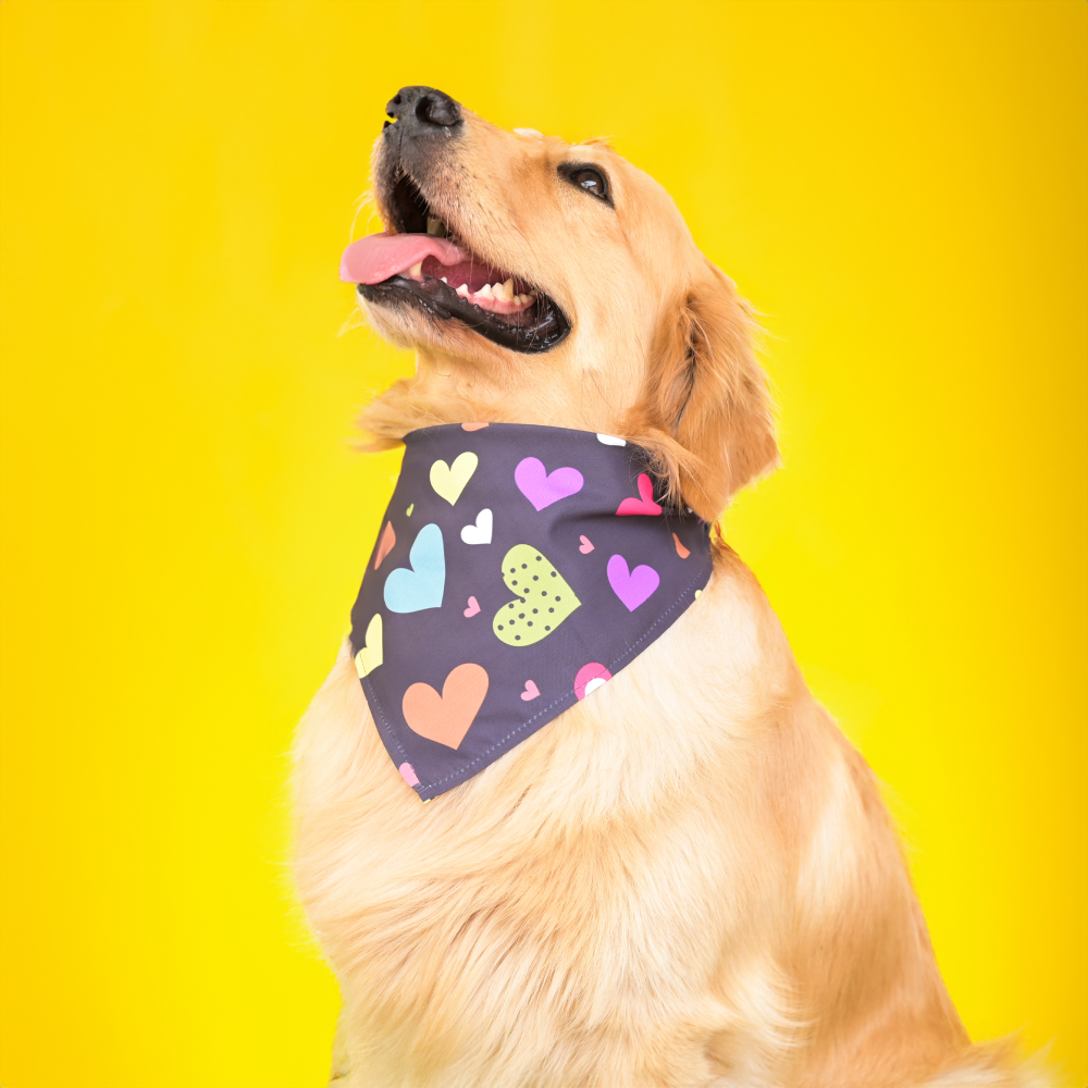 SKATRS Heart Printed Bandana for Dogs and Cats (Black)