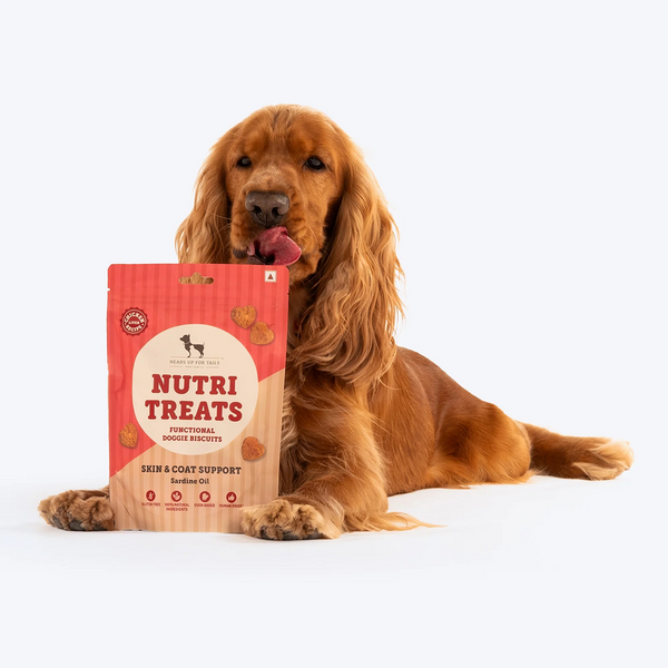 HUFT Gluten Free Nutri Chicken Liver Recipe Skin & Coat Support Dog Treats