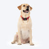 HUFT Classic D Ring Collar for Dogs (Cherry Red) Dogs-Collar, Leashes, harnesses Heads Up for Tails