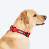 HUFT Classic D Ring Collar for Dogs (Cherry Red) Dogs-Collar, Leashes, harnesses Heads Up for Tails