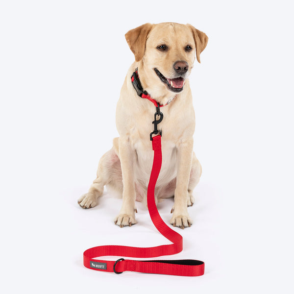 HUFT Classic Leash for Dogs (Cherry Red)