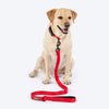 HUFT Classic Leash for Dogs (Cherry Red) Dogs-Collar, Leashes, harnesses Heads Up for Tails