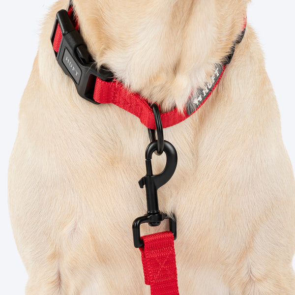 HUFT Classic Leash for Dogs (Cherry Red)