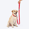 HUFT Classic Leash for Dogs (Cherry Red) Dogs-Collar, Leashes, harnesses Heads Up for Tails