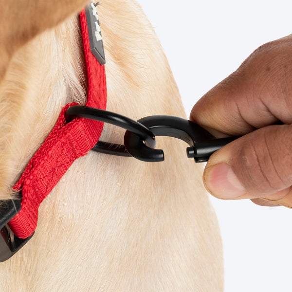 HUFT Classic D Ring Collar for Dogs (Cherry Red)