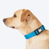 HUFT Classic D Ring Collar for Dogs (Ocean Blue) Dogs-Collar, Leashes, harnesses Heads Up for Tails