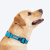 HUFT Classic D Ring Collar for Dogs (Ocean Blue) Dogs-Collar, Leashes, harnesses Heads Up for Tails