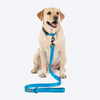 HUFT Classic Leash for Dogs (Ocean Blue) Dogs-Collar, Leashes, harnesses Heads Up for Tails