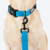 HUFT Classic Leash for Dogs (Ocean Blue) Dogs-Collar, Leashes, harnesses Heads Up for Tails