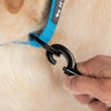 HUFT Classic Leash for Dogs (Ocean Blue) Dogs-Collar, Leashes, harnesses Heads Up for Tails