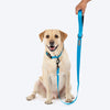 HUFT Classic Leash for Dogs (Ocean Blue) Dogs-Collar, Leashes, harnesses Heads Up for Tails