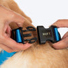 HUFT Classic D Ring Collar for Dogs (Ocean Blue) Dogs-Collar, Leashes, harnesses Heads Up for Tails