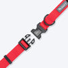 HUFT Classic D Ring Collar for Dogs (Cherry Red) Dogs-Collar, Leashes, harnesses Heads Up for Tails