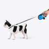 HUFT Retractable Leash With Poop Bag Dispenser for Dogs (Blue) Dogs-Collar, Leashes, harnesses Heads Up for Tails