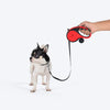 HUFT Retractable Leash With Poop Bag Dispenser for Dogs (Red) Dogs-Collar, Leashes, harnesses Heads Up for Tails