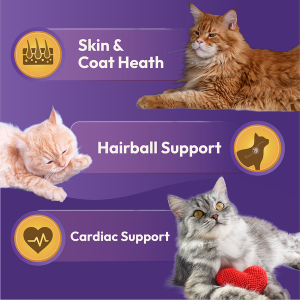 DatGud Chicken & Wild Fish Adult Cat Dry Food