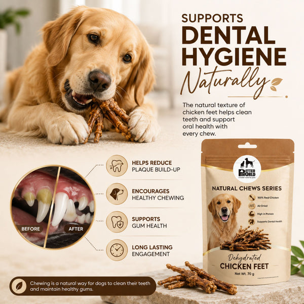 Petter World Dehydrated Chicken Feet Natural Crunchy Chews Dog Treats