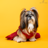 The Papaw Cartel Desi Girl in Banarasi Polka Dot Gown for Dogs (Red) Dogs-Clothing & Accessories The Papaw Cartel Dropship