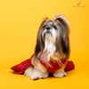 The Papaw Cartel Desi Girl in Banarasi Polka Dot Gown for Dogs (Red) Dogs-Clothing & Accessories The Papaw Cartel Dropship