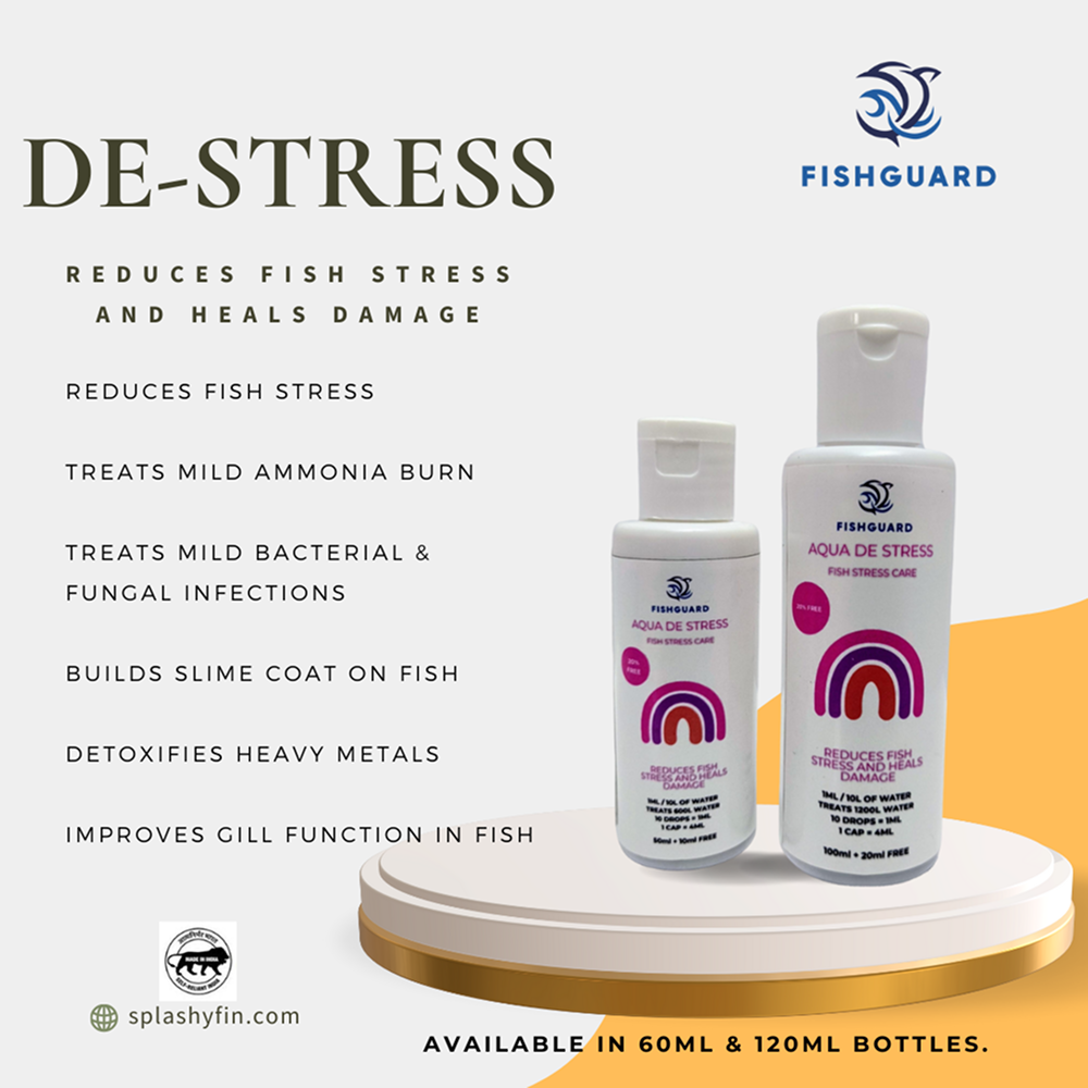 Splashy Fin FishGuard Aqua De Care Stress for Fish Fish Splashy Fin