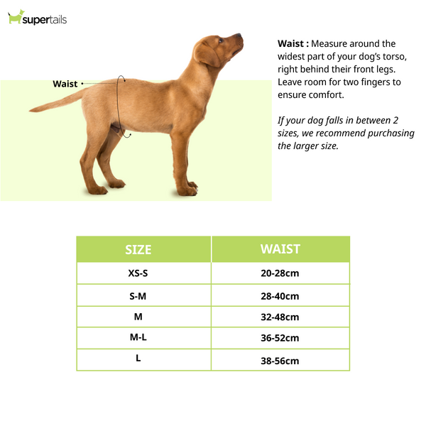 Trixie Female Diapers for Dogs (20x28cm)