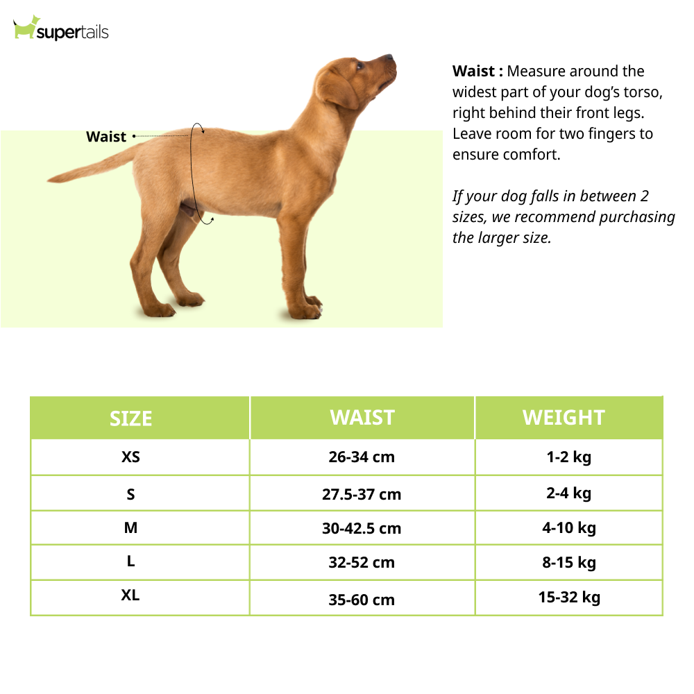 M Pets Diapers for Female Dogs (35x60cm) Dogs-Health & Wellness M Pets