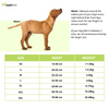 Barkbutler x Fofos Diaper for Male Dog (32x50cm) Dogs-Health & Wellness Barkbutler