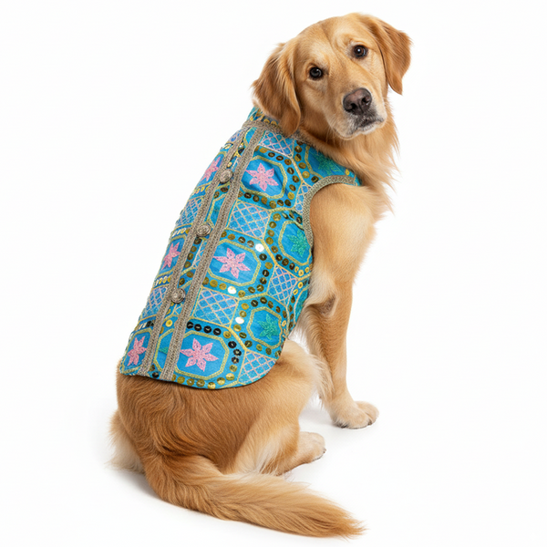 Pawsindia Traditional Nawabi Embroidered Kurta for Dogs (Sky Blue)