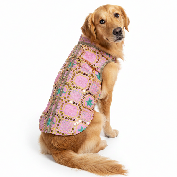 Pawsindia Traditional Nawabi Embroidered Kurta for Dogs (Pink)