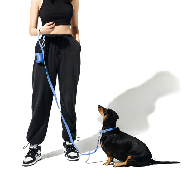 Furry & Co Weatherproof Collar and Leash for Dogs Combo (Everest Blue) - M